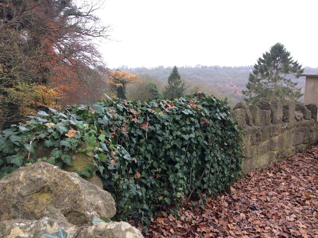 Longacre Bed & Breakfast Freshford Room photo